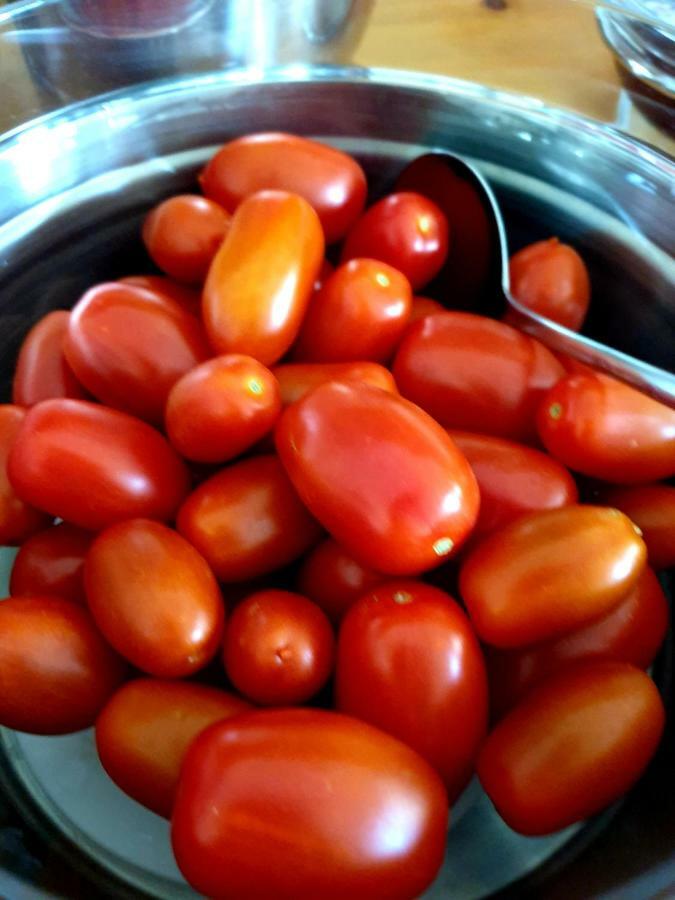Sifnos Hotel Benaki Platis Gialos  Екстер'єр фото